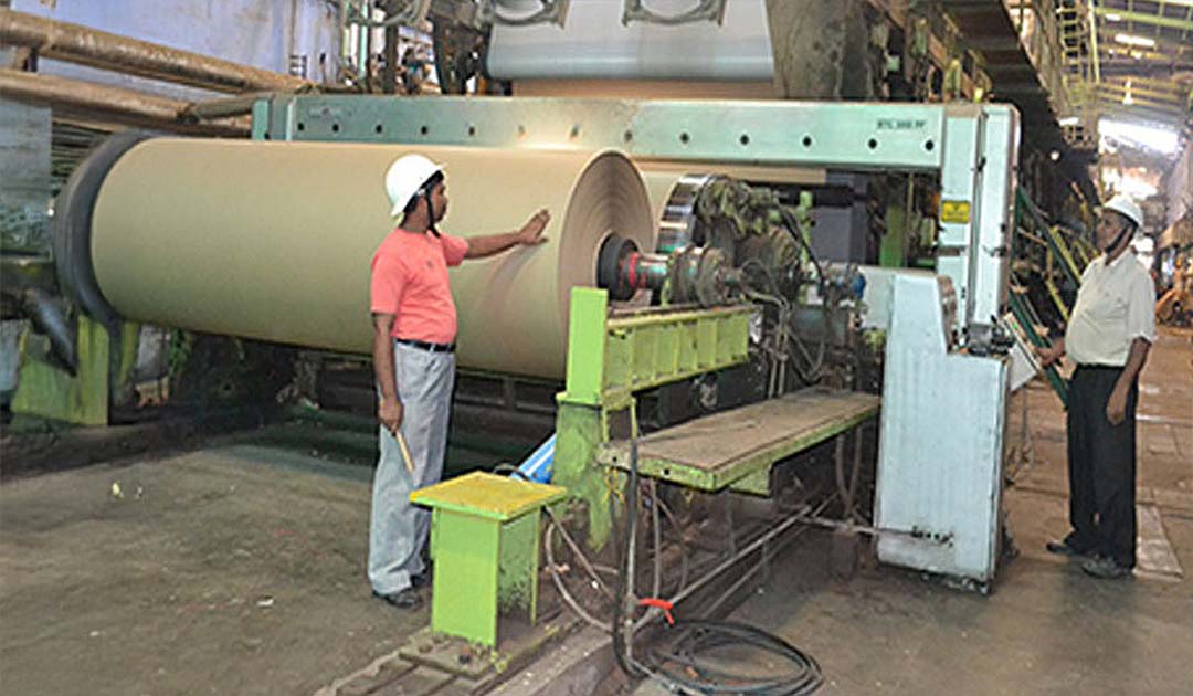 Sainsons paper plant
